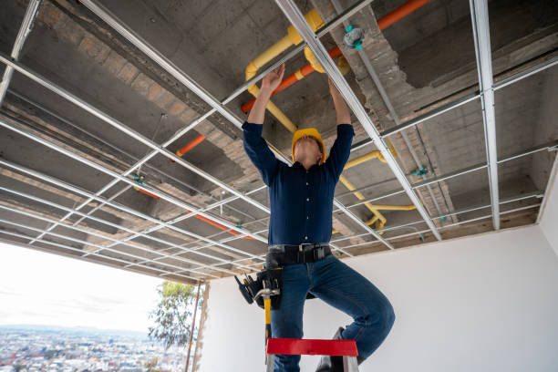 Best Emergency Plumbing Repair  in Wakefield, NE